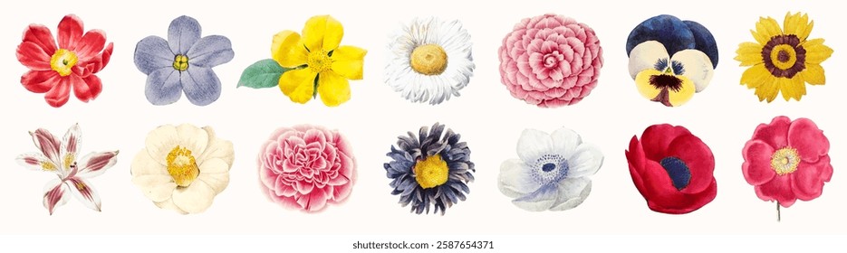 A collection of colorful flowers, featuring blooms like roses, daisies, and poppies. Each flower is distinct, showcasing vibrant colors and unique shapes. Spring flower illustrations, isolated vectors