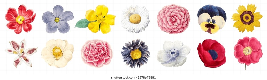 A collection of colorful flowers, featuring daisies, roses, and poppies. Each flower is distinct, showcasing vibrant petals and unique floral designs. Spring flower illustrations, isolated vector set.