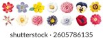 A collection of colorful flowers, featuring various blooms. Flowers include daisies, roses, and poppies. Vibrant flowers in diverse shapes and colors. Spring flower illustrations, isolated vector set.
