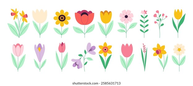 A collection of colorful flowers with green leaves. The flowers are arranged in a row and include tulips, daisies, and sunflowers