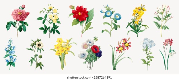 A collection of colorful flowers, including roses, daisies, and lilies. Each flower is uniquely detailed, showcasing vibrant petals and lush green leaves. Spring flower illustrations, isolated vectors