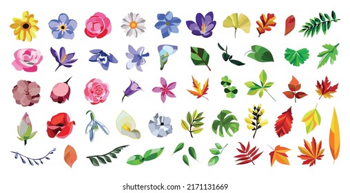 Collection of colorful flowers and leaves on a white background.