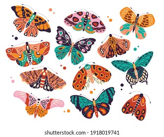 Collection of colorful hand drawn butterflies and moths on white background. Stylized flying insects with decorative elements, vector illustration. 