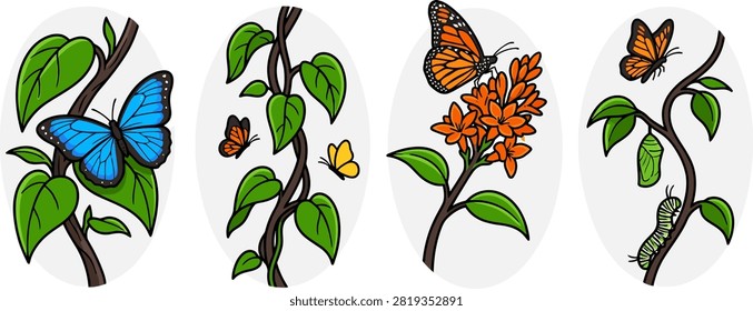 A collection of colorful hand drawn illustrations showing the metamorphosis of a butterfly from caterpillar to adult insect on leafy plant branches