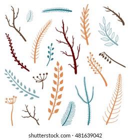 Collection of colorful hand drawn twigs, branches and berries isolated on white background.
