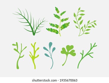 Collection of colorful leaves, leaves icon. Vector illustration.