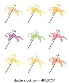 The collection of colorful lilies. Vector illustration