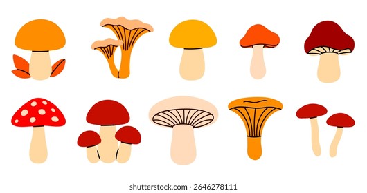 Coleção de cogumelos coloridos com várias formas de chapéu e caules, incluindo chanterelles, toadstools, e fungos florestais comestíveis sobre fundo branco