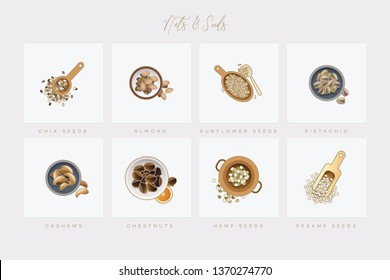 Collection of colorful nuts and seeds icons in flat lay setting