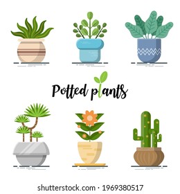 Collection of Colorful Potted plants for designers. easy to use and highly customizable. beautiful and modern element which can be used in many purposes Eps10 vector.