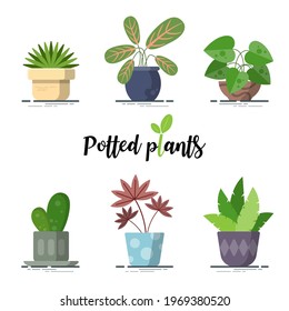 Collection of Colorful Potted plants for designers. easy to use and highly customizable. beautiful and modern element which can be used in many purposes Eps10 vector.