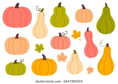 Collection of colorful pumpkins and gourds in various shapes, perfect for fall harvest, thanksgiving and seasonal design