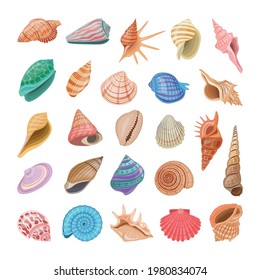 Collection of colorful realistic seashells.
