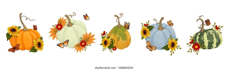 Collection of colorful ripe pumpkins, zucchini with sunflower flowers and butterflies. Cartoon vector graphics.