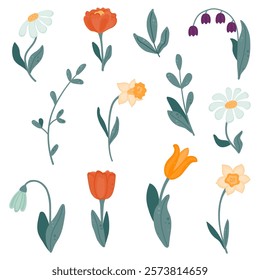 Collection of colorful spring flowers, leaves and twigs. Tulip, daffodil, bluebells. Vector illustration in a flat style.