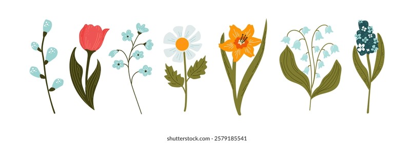 Collection of colorful spring flowers. Set of vector flowers colors on a white background. Isolated