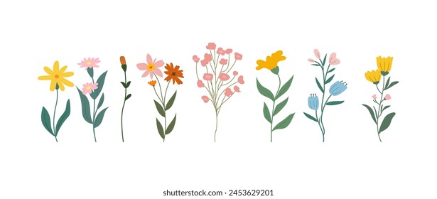 A collection of colorful spring flowers in soft colors, botanical species in flat design style, nature floral bloom decorative elements. Vector illustration