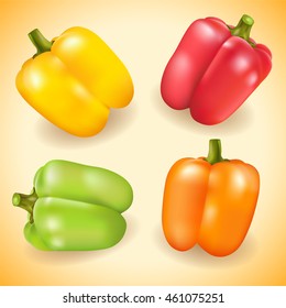 Collection of colorful sweet pepper. Vector illustration.