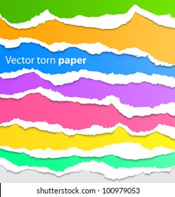 Collection of colorful torn paper. Vector illustration