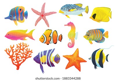 Collection of colorful tropical aquarium fish, flat vector illustration isolated on white background. Bright water corals reef and ocean carribean fish icons.