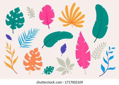 Collection of colorful tropical leaves in flat style. Decorative leaves of exotic plants - monstera, palm, fern, etc. Summer foliage. Elements for your floral design. Vector illustration.