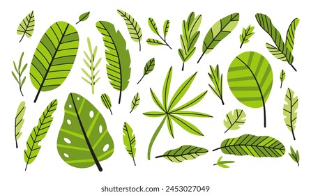 Collection of colorful tropical leaves. Vector isolated elements on white background.