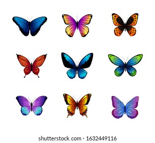 Collection of colorful vector butterflies. Vector illustration