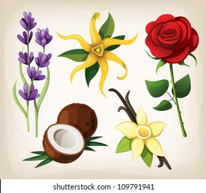 A collection of colorful vector flowers. Isolated