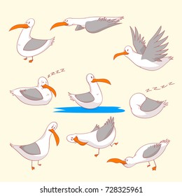 Collection of colorful vector illustrations of cartoon marine burds or seagulls in different positions