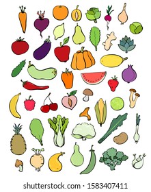 Collection of colorful vegetables, mushrooms and fruits. Farm crop line art in simple colors. Cooking or menu ingredients icons. Culinary series. Vector illustration.