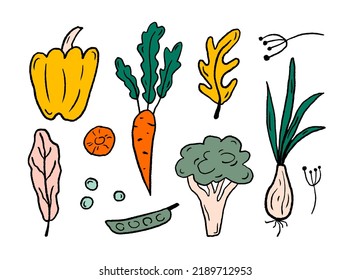 Collection with colorful vegetables on a white background. Doodle outline clip art. Set of healthy vegan food. Graphic elements for fabric, packaging, clothing. Hand drawn vector illustration