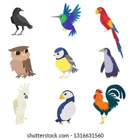Collection of colorful wild, domestic, tropical, waterfowl birds isolated on white background