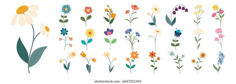 Collection of colorful wildflower and botanical illustration elements. Flat flower set