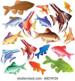 Collection of colour aquarian fishes. Vector illustration