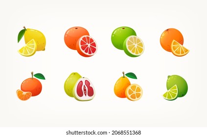 Collection of colourful icons of citrus fruit. Whole fruit with a slice. Common organic products at winter markets. Isolated vector images.  