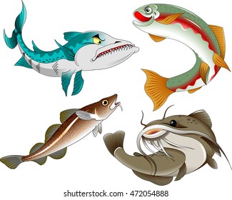 collection of commercial fish on a white background,vector and illustration