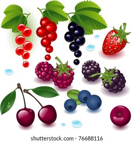 collection. complete set berry on a white background