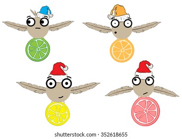 Collection with conceptual monsters with citrus fruit