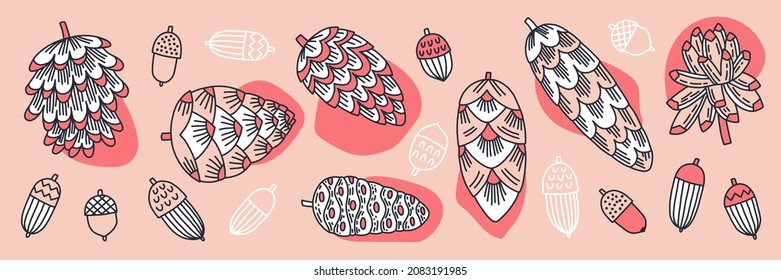 Collection of cones of conifers and acorns. Vector hand-drawn illustration for decoration, stickers