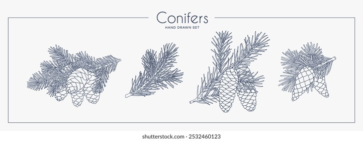 Coleção de ramos de coníferas com cones. Estilo de gráfico linear. Ilustração vetorial.