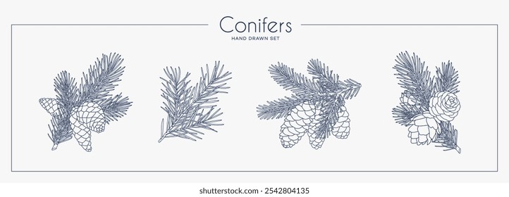 Coleção de ramos de coníferas com cones. Estilo de gráfico linear. Ilustração vetorial.