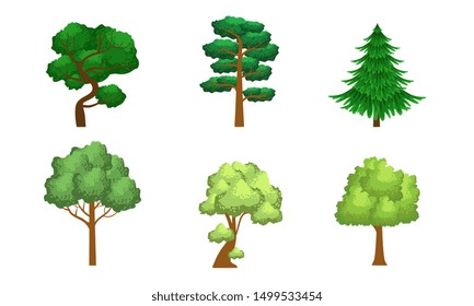 Collection of Coniferous and Deciduous Trees, Summer Landscape Design Elements Vector Illustration