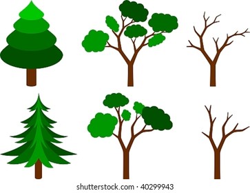 collection of coniferous, leafy and naked trees