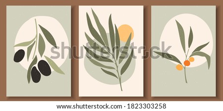 Collection of contemporary art posters in pastel colors. Abstract  geometric elements and strokes, leaves and berries, olive, tangerine. Great design for social media, postcards, print.
