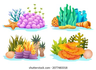 Collection of coral reefs with algae, seaweed and seashells in various types cartoon illustration