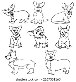 Collection of corgi breed dogs adults and puppies,sitting,looking out,playful,lying,isolated on a white background.The vector set can be used in textiles, paper, and zoo stores.