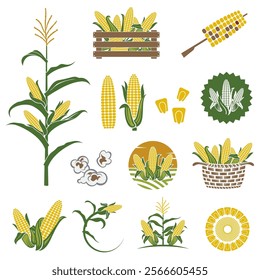 collection of corn cob emblem isolated on white background