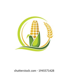 a collection of corn plantation logo icons 