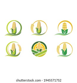 a collection of corn plantation logo icons 