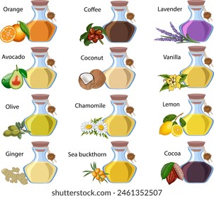 Colección de aceites cosméticos. Vector conjunto de botellas con aceites orgánicos para procedimientos cosméticos.